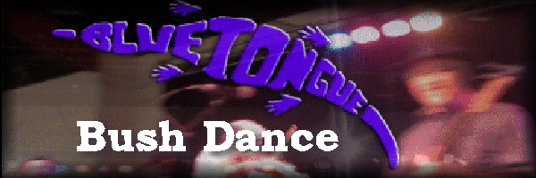 Click on image to see the Barn Dance Band website (opens new window)